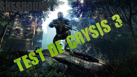 Crysis 3, le test par Sheshounet