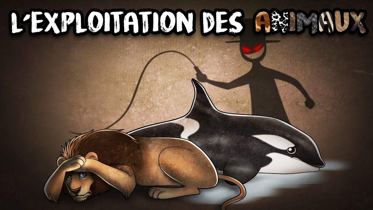 #LMPC10 – L’exploitation des ANIMAUX : le plaisir ÉGOÏSTE ?