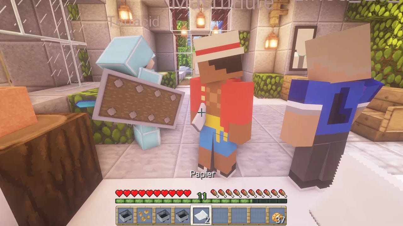 VOD – Laink et Terracid // Mineclash (Mastu et Linca)