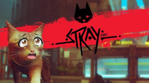 Stray – CE MINOU TROP ACCESSIBLE!