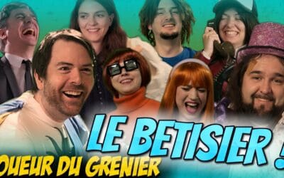 Bazar du Grenier JOUEUR DU GRENIER – LE BETISIER!
