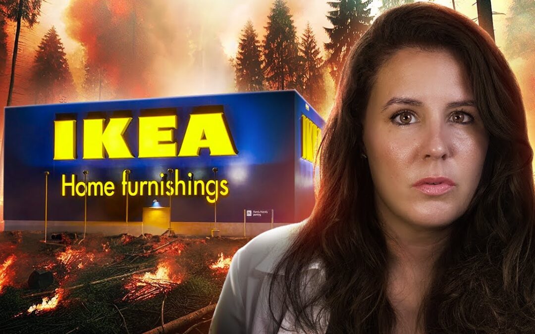 LA VÉRITÉ INAVOUABLE D’IKEA, CE QU’ON NE VOUS A JAMAIS DIT !