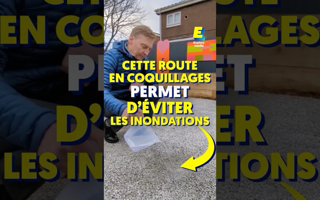 Cette route en coquillages permet d’éviter les inondations ! 🐚 #shorts