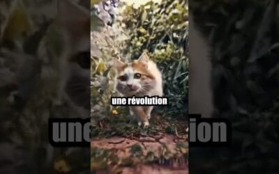 Cette technologie va être un sacré problème.