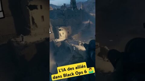 l’IA des alliés dans Black Ops 6 🤷‍♂️