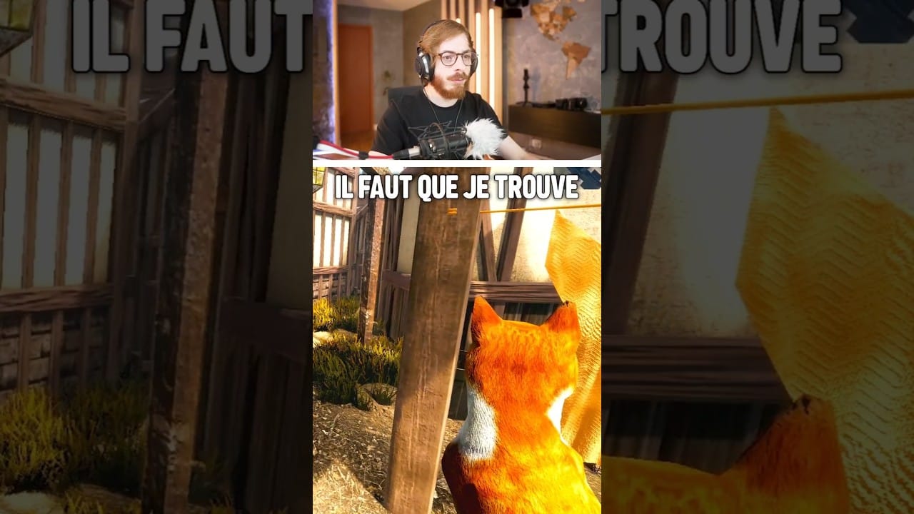 CYRILstudio – j’adopte un chat mais… #humour #gaming #CYRILmp4