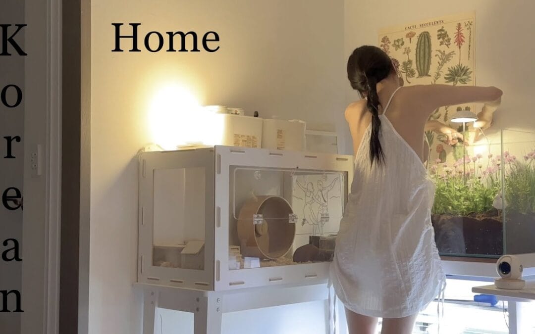 e_seoa – Your K-girlfriend at Home 🏠❤️