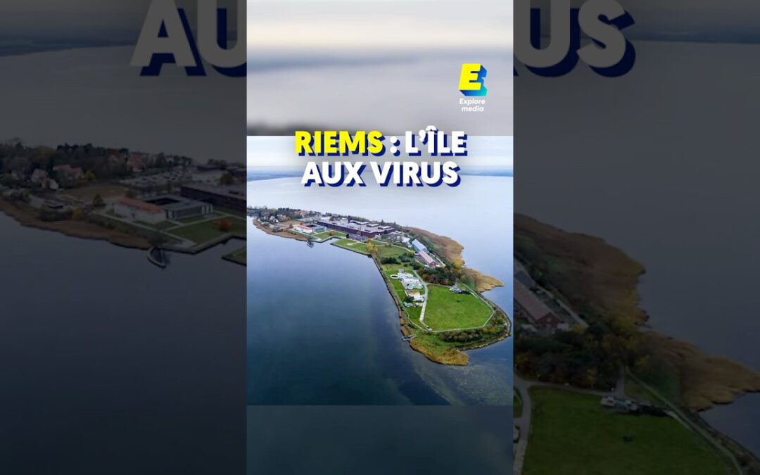 Riems : l’île aux virus ! #shorts