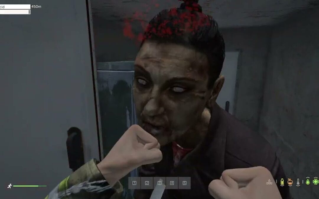 VOD – Laink et Terracid // DayZ