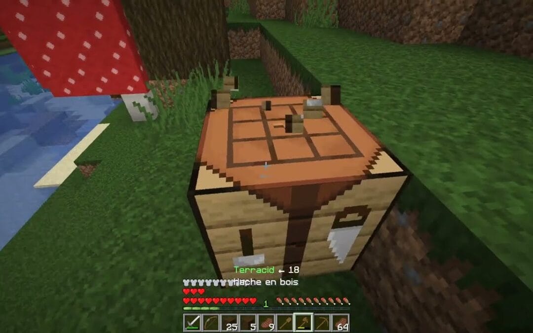 VOD – Laink et Terracid // Minecraft (Wankil Manhunt #7)
