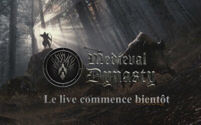 Mewenn Lets Play Medieval Dynasty (suite de la chaine Just-Linked)