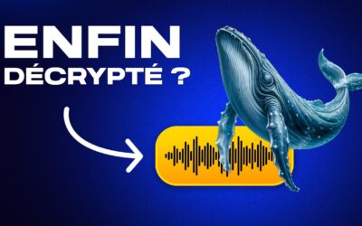 Des chercheurs en IA s’apprêtent à décoder la communication animale