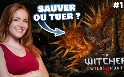Une GROSSE DÉCISION | The Witcher 3 #12