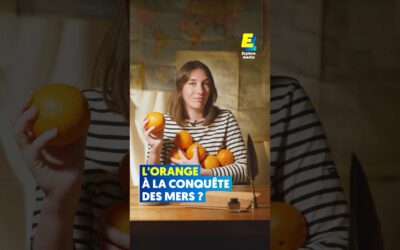 Pourquoi les marins emmenaient toujours des oranges avec eux lors des expéditions ? #shorts